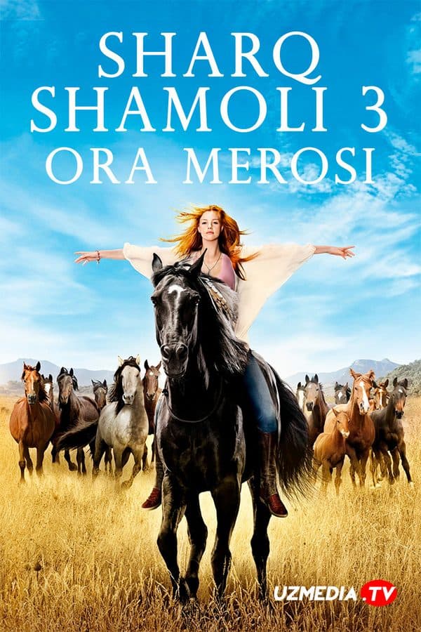 Sharq shamoli 3 — Kino 2017