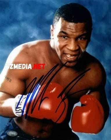 Tayson — Kino 2014