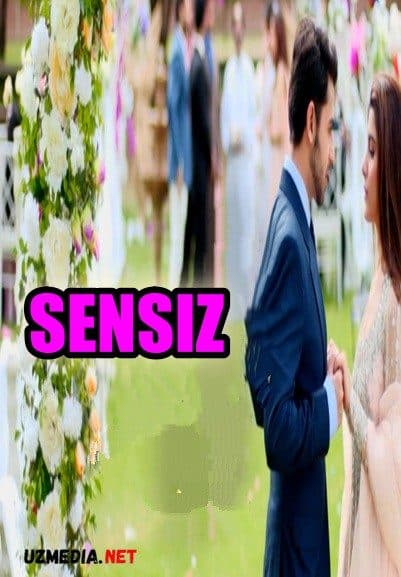 Sensiz — Serial 2014