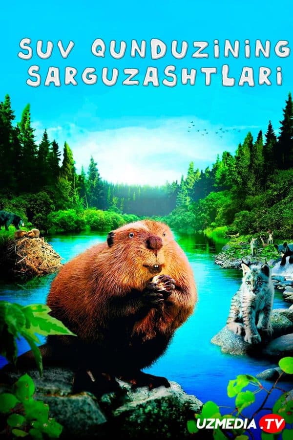 Suv qunduzining sarguzashtlari — Kino 2007