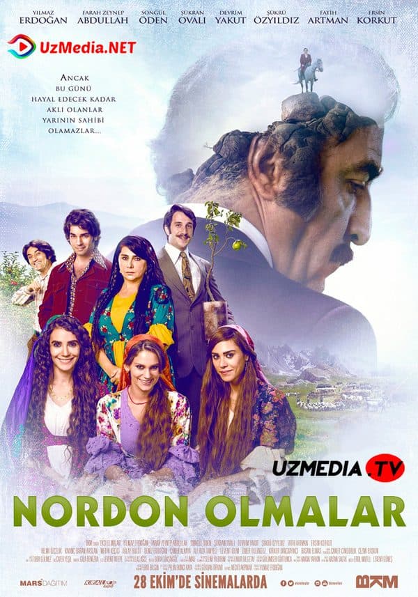 Nordon olmalar — Kino 2016
