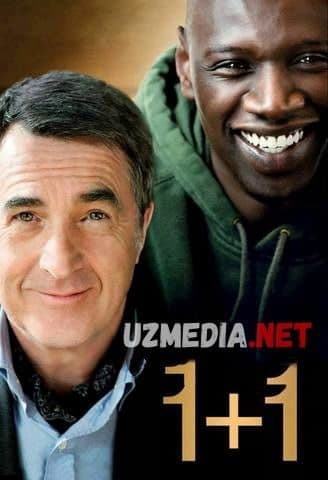 1+1 — Kino 2011