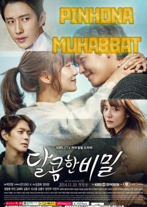Pinhona muhabbat (1-100) — Serial 2014